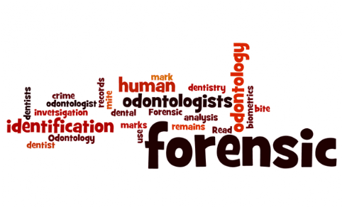 Forensic Odontology: Read about odontology and how forensic odontologists (dentists) use dental remains and records in human identification and the invetsigation of crime; forensic dentist, forensic dentistry, forensic odontologist, forensic odontology, forensic odontologists, human identification, bite marks, mite mark analysis, biometrics