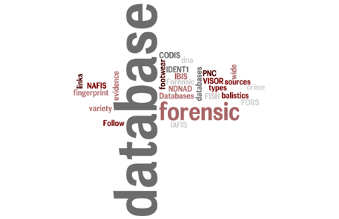 Forensic Databases: Follow the links to database sources for a wide variety of forensic evidence types; forensic database, forensic databases, footwear database, fingerprint database, CODIS, PNC, balistics database, IBIS, IDENT1, dna database, NDNAD, NAFIS, IAFIS, crime database, VISOR, FISH, FORS
