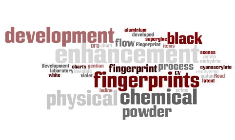 Fingerprint Development: Read about the chemical and physical development (enhancement) of fingerprints at scenes of crime and items recovered from them, and how invisible (latent) fingerprints are developed in the fingerprint laboratory; fingerprint development, chemical enhancement, chemical enhancement of fingerprints, physical enhancement, physical enhancement of fingerprints, chemical development, physical development, iodine, ninhydrin, DFO, aluminium powder, black powder, white powder, sudan black, gentian violet, GV, amido black, process flow chart, process flow charts, superglue, cyanoacrylate