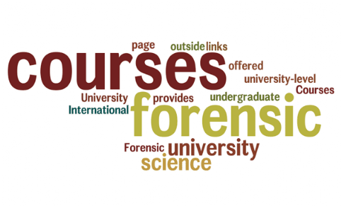 University Forensic Courses (International): This page provides links to university-level courses in forensic science offered outside the UK; undergraduate forensic courses, university forensic courses, forensic courses, university courses, forensic science courses