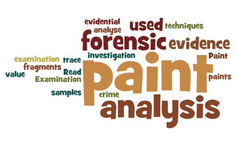 Paint Examination: Read about paint, about techniques used to analyse paints, and how forensic analysis of paint fragments and samples can be used in the investigation of crime; forensic examination of paint, forensic analysis of paint, analysis of paint, paint analysis, evidential value of paint evidence, trace evidence