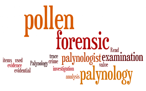 Palynology: Read about palynology and how the forensic examination of items for pollen can be used in the investigation of crime; palynology, palynologist, forensic palynology, forensic palynologist, pollen examination of pollen, forensic analysis of pollen, trace evidence, evidential value of pollen