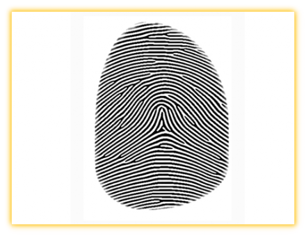 Solve it - Count the Features on this Tented Arch Fingerprint