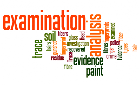 Trace Evidence: Read about types of trace evidence that can be recovered and examined in the investigation of crime; trace evidence, forensic examination of glass, forensic examination of fingerprints, fingerprint examination, forensic examination of hairs, hair examination, forensic examination of fibres, fibre examination, forensic examination of fibers, fiber examination, forensic examination of paint, paint analysis, forensic examination of soil, soil analysis, forensic examination of pollen, forensic examination of gunshot residue, gsr analysis, forensic examination of accelerants